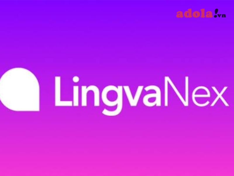 Lingvanex - Giải Pháp Học Và Dịch Ngôn Ngữ Ấn Độ Thông Minh